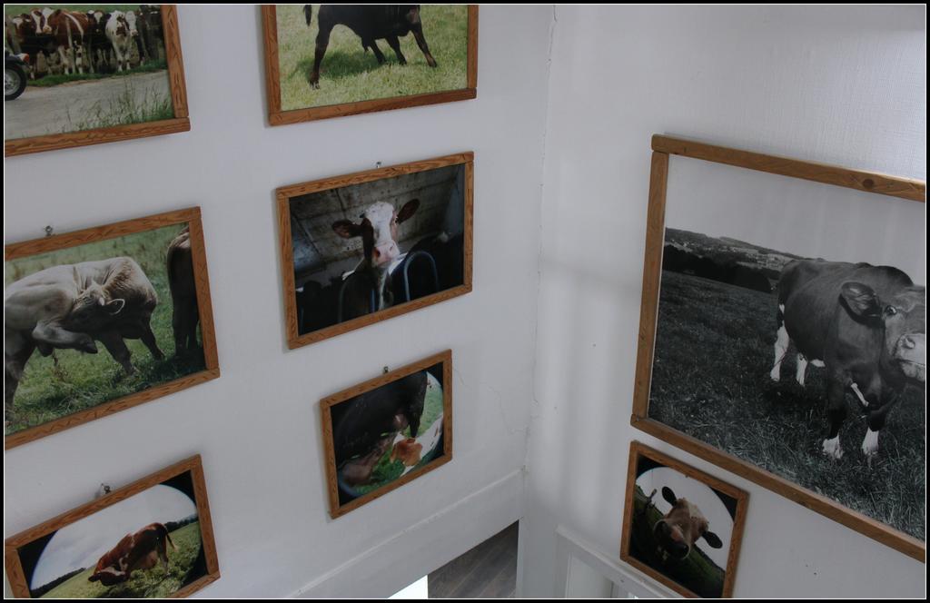 Hotel Artfarm Wiehl Extérieur photo